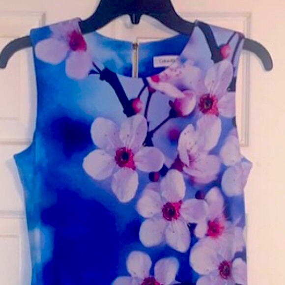Calvin Klein Blue Bold Floral Sleeveless Dress - Picture 6 of 13
